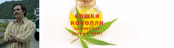 трава Арсеньев