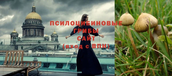 бошки Аркадак