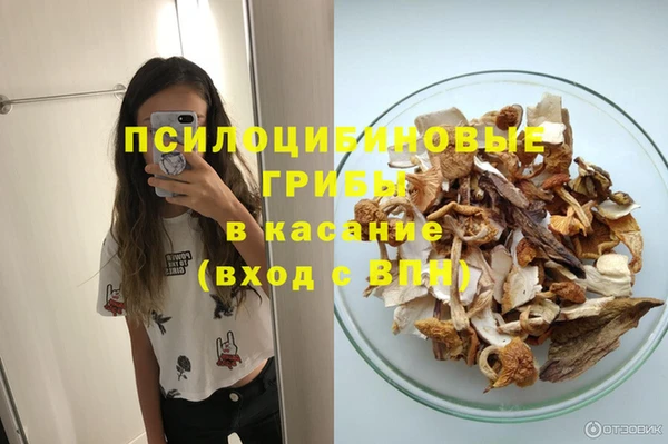 трава Арсеньев