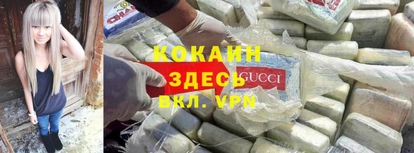 трава Арсеньев