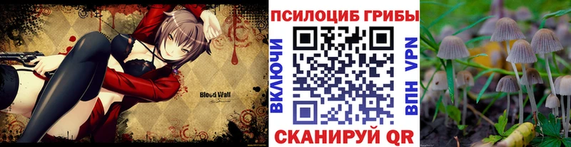 Псилоцибиновые грибы Magic Shrooms  Опочка 